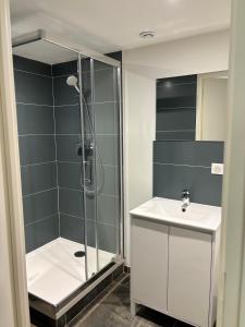 un baño con ducha y lavabo en Appartement plein coeur village, en Étoile-sur-Rhône