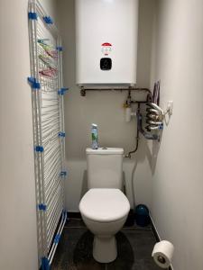Un baño con un inodoro blanco en una habitación. en Appartement plein coeur village, en Étoile-sur-Rhône 1 foto más