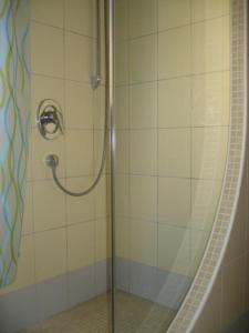 a shower with a glass door in a bathroom at Villa Angel Dalia in Novi Vinodolski +15 photos