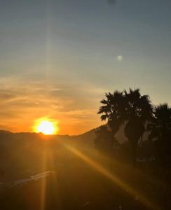 a sunset with palm trees and the sun in the sky at Alto Paraiso Glamping in Carmen de Viboral