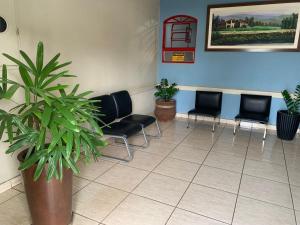 a waiting room with chairs and a potted plant at Hotel Santo Antoninho in Goiânia