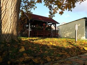 Zahrada ubytování Globus Guesthouse, Vendégház