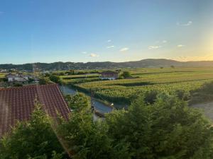 a view of a river and a field of crops at Hotel Restorant Pizzeri Anxhelo in Kavajë