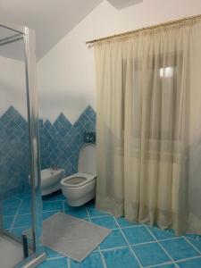 une salle de bain avec toilettes et douche dans l'établissement Vila cu 3 Dormitoare cu Acces la Lac, à Gheboieni