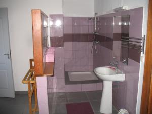 a bathroom with a sink and a shower at Koté Man Fifi in Cayenne