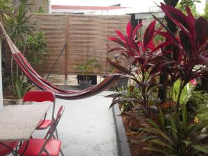 a patio with a hammock in a garden at Koté Man Fifi in Cayenne