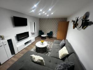 a living room with a couch and a tv at Belvedere apartament in Lupeni