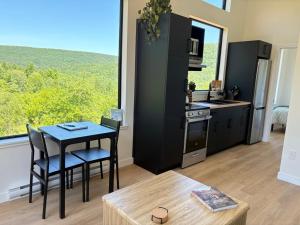 Η κουζίνα ή μικρή κουζίνα στο Family-Friendly Tiny Cabin with Hot Tub and Epic Views near Poley Mountain, NB