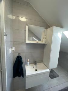 une petite salle de bain avec lavabo et douche dans l'établissement Green Gables, à Zalakaros 9 autres photos