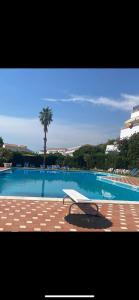 a bench sitting next to a swimming pool with a palm tree at Sole Mare da Tina in Cittadella del Capo