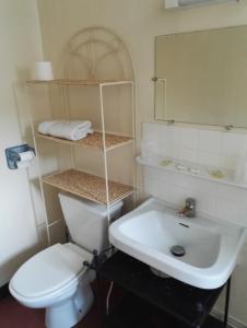 La salle de bains est pourvue de toilettes blanches et d'un lavabo. dans l'établissement Le Chemin Neuf, à Gréoux-les-Bains