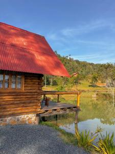 Příroda nedaleko chaty