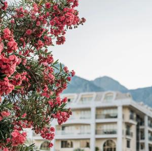drzewo z różowymi kwiatami przed budynkiem w obiekcie Hotel Nobo Nest w mieście Dalhousie