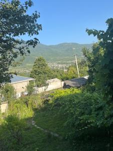 旅馆周边自然景观