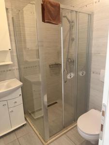a bathroom with a glass shower with a toilet at Herceg Novi Sunny Hill Apartment 