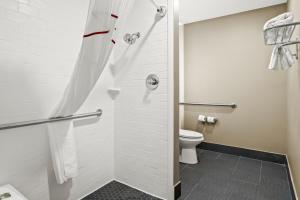Red Roof Inn & Suites Euless - DFW Airport Southwest的一间浴室