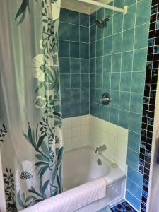 ein Badezimmer mit einer Badewanne mit Duschvorhang in der Unterkunft Villa de la Montagne in Sainte-Rose-du-Nord + 46 Fotos