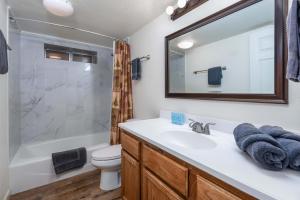a bathroom with a sink and a shower and a toilet at Yosemite Quail - Nestled in with a View in Yosemite West