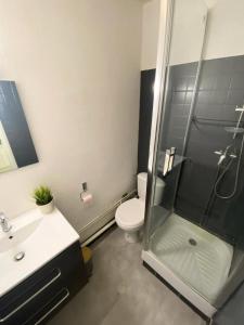 a bathroom with a shower and a toilet and a sink at Résidence Le Bois D'aurouze - Studio pour 4 Personnes MAE-8684 in Le Dévoluy +14 photos