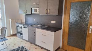a kitchen with a sink and a counter top at Atelier-FEWO-Polenztal in Neustadt in Sachsen