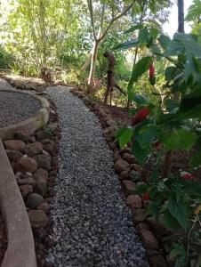 a stone path in a garden with a monkey statue at Cabaña Agustina in El Soberbio