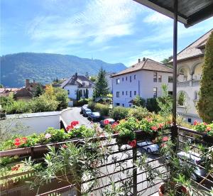 En generel udsigt til bjerge eller udsigt til bjerge taget fra den private indkvartering