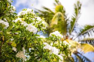 ABC Lodges Curacao室外花園