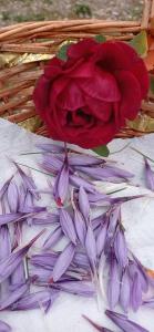 Φωτογραφία από το άλμπουμ του Guest Art House Aurora σε Pissignano