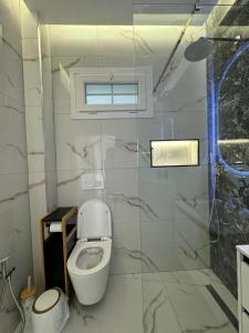 een witte badkamer met een toilet en een raam bij Lidova Apartments in Hamallë