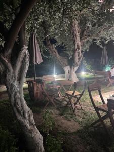 Gallery image of Vila Melina in Himare