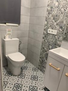 W łazience znajduje się toaleta i prysznic wyłożony kafelkami. w obiekcie Vivienda Turística Níjar w mieście Níjar