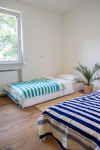 zwei Betten in einem Zimmer mit Fenster in der Unterkunft EL Home - Stylish living and working near Frankfurt in Friedrichsdorf
