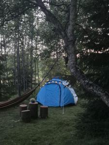 a blue tent in the middle of a forest at Pri potoku in Štôla