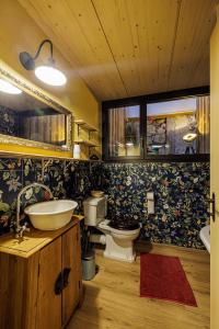 a bathroom with a sink and a toilet at Uelis-Stoeckli Gästezimmer mit Billard und Lamatrekking in Meikirch
