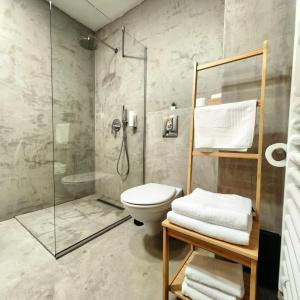 a bathroom with a toilet and a glass shower at Villa Santa Maria in Sibiu +59 photos