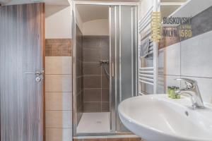 a bathroom with a shower and a sink and a sink at Buškovský mlýn 1580 in Dolní Bousov +97 photos
