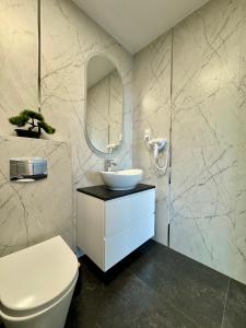 カルパチにあるApartamenty IDA - Górski Azylの洗面台、トイレ、鏡のあるバスルーム