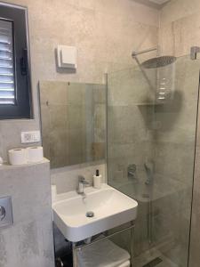 a bathroom with a sink and a glass shower at REZEVICI BOUTIQUE VILLA in Petrovac na Moru