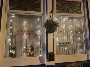 a store front with christmas lights and a dog in the window at White Moon Hotel in Blackpool