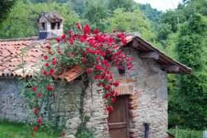 a bunch of red roses on the side of a building at Agriturismo Cebon in Ceva +13 photos