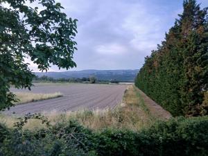 een veld met een onverharde weg naast wat bomen bij Maison Provence Noe in Mallemort