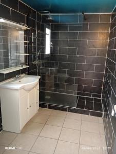 een badkamer met een wastafel en een douche met zwarte tegels bij Maison Provence Noe in Mallemort