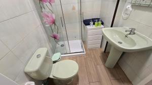 a bathroom with a toilet and a sink and a shower at nos appartements ciel et mer a tenerife in Puerto de la Cruz +22 photos