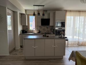 Η κουζίνα ή μικρή κουζίνα στο Cocon familial 2 ch à Nanterre +20 φωτογραφίες