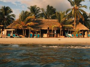 a house on the beach with palm trees and the water at Dos Aguas Lodge in Rincón