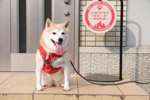 Κατοικίδιο ή κατοικίδια επισκεπτών που μένουν στο イヌサウナリゾート伊豆白浜 愛犬と焚火とバレルサウナの暖かいヴィラ