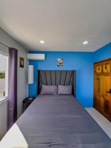 a bedroom with a blue wall and a bed at Khepri Soleil Suite - 12min from UVF Airport in Vieux Fort