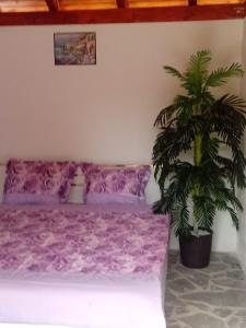 a bedroom with a purple bed and a plant at Camping -Dor de Munte -Ceahlau in Bistricioara