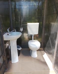 a bathroom with a toilet and a sink at Camping -Dor de Munte -Ceahlau in Bistricioara