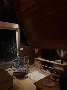 ein Wohnzimmer mit Sessel und Fernseher in der Unterkunft cottage cocon et loft in Villampuy